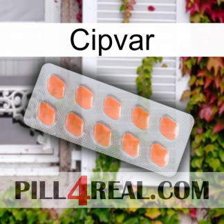 Cipvar 26